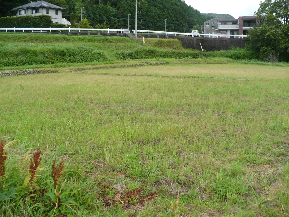 ※gifイメージはサムネイル化できません