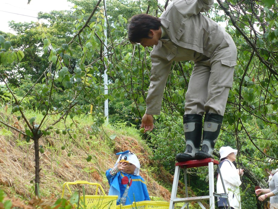 ※gifイメージはサムネイル化できません