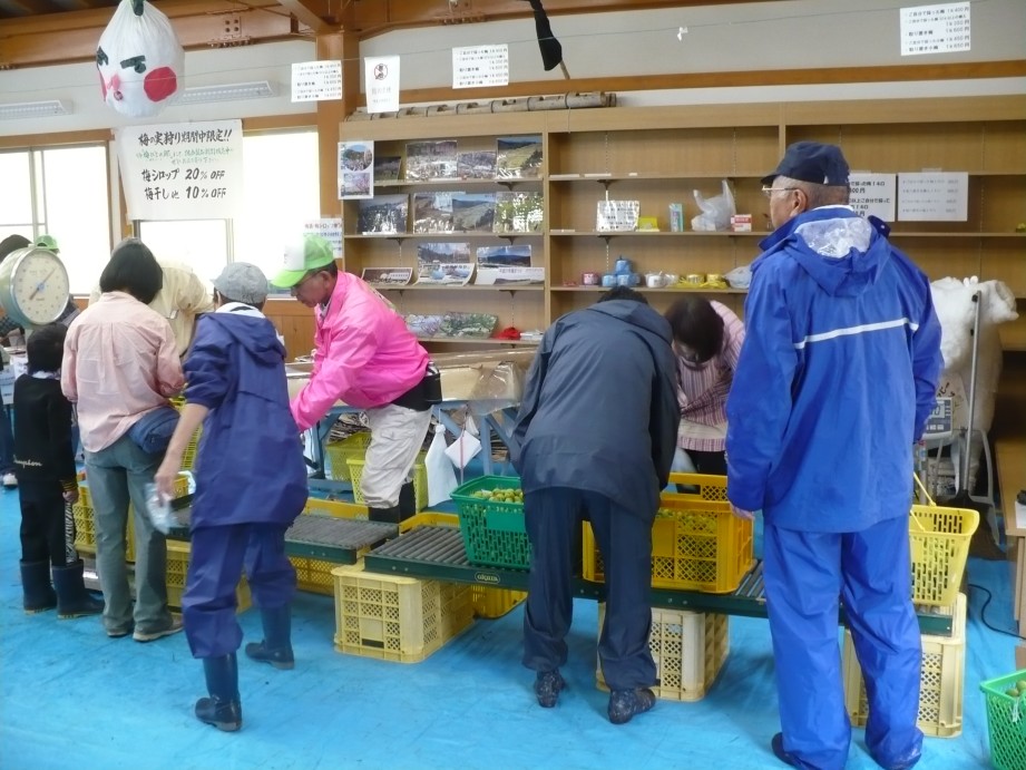 ※gifイメージはサムネイル化できません