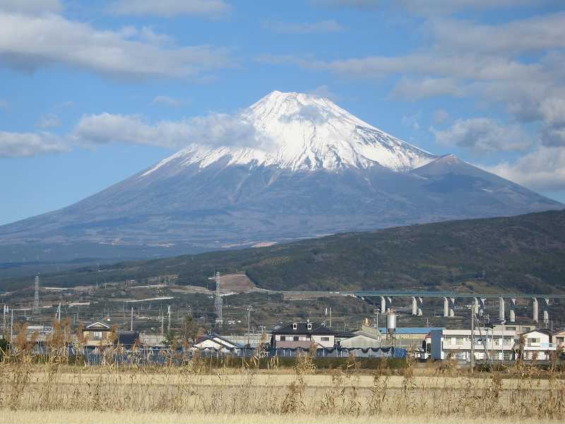 ※gifイメージはサムネイル化できません